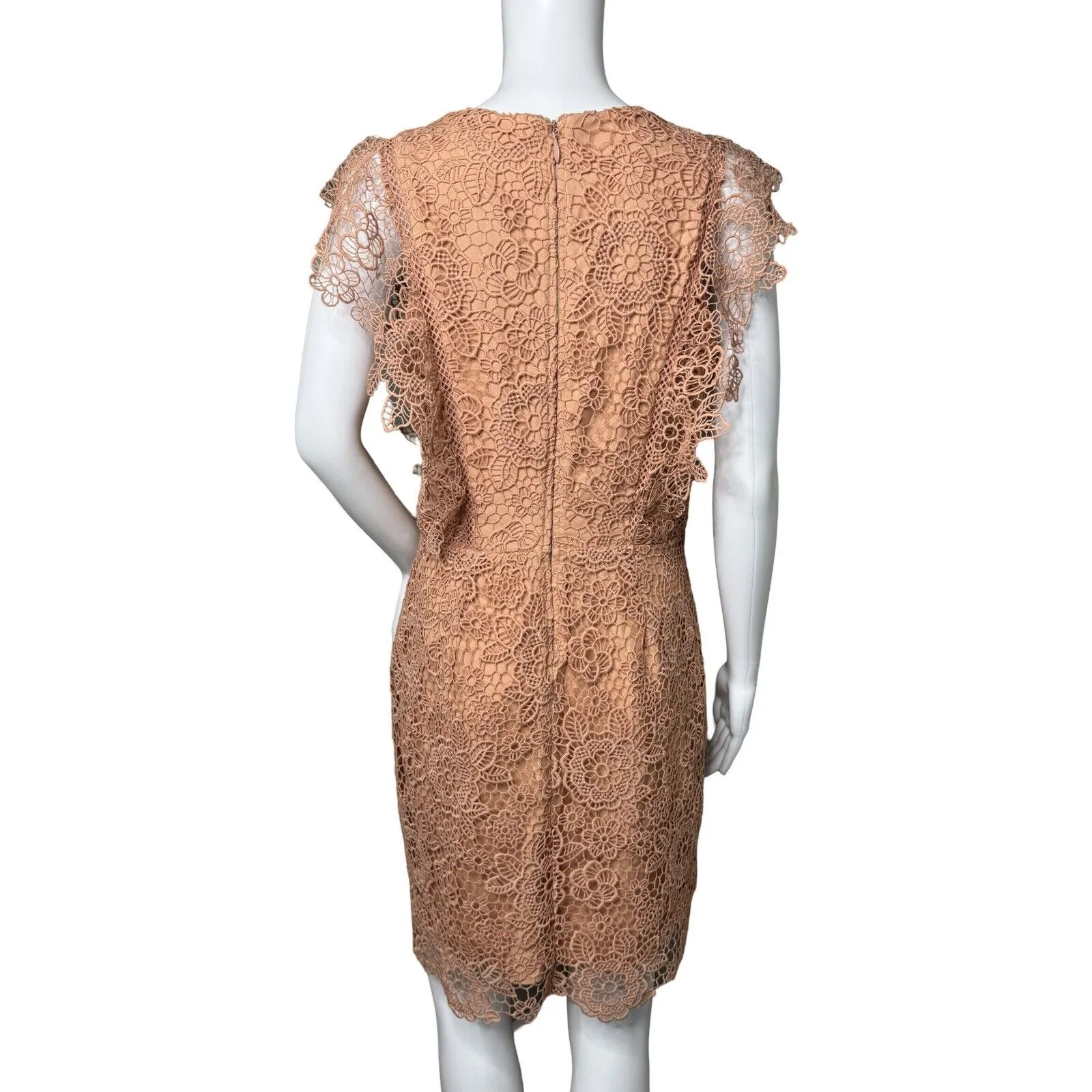 Gianni Bini Dress Womens Medium Blush Pink Ruffle Guipure Lace Feminine Romantic - Image 4