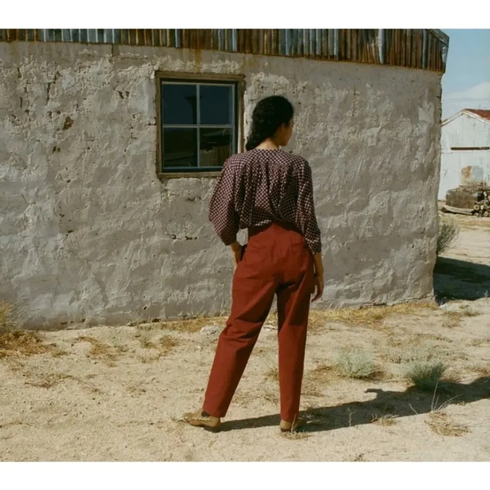 💕DOEN💕 Louvre Pant ~ High Waisted Pleated Ankle Pants Terracotta 6 NWT Red - Image 4