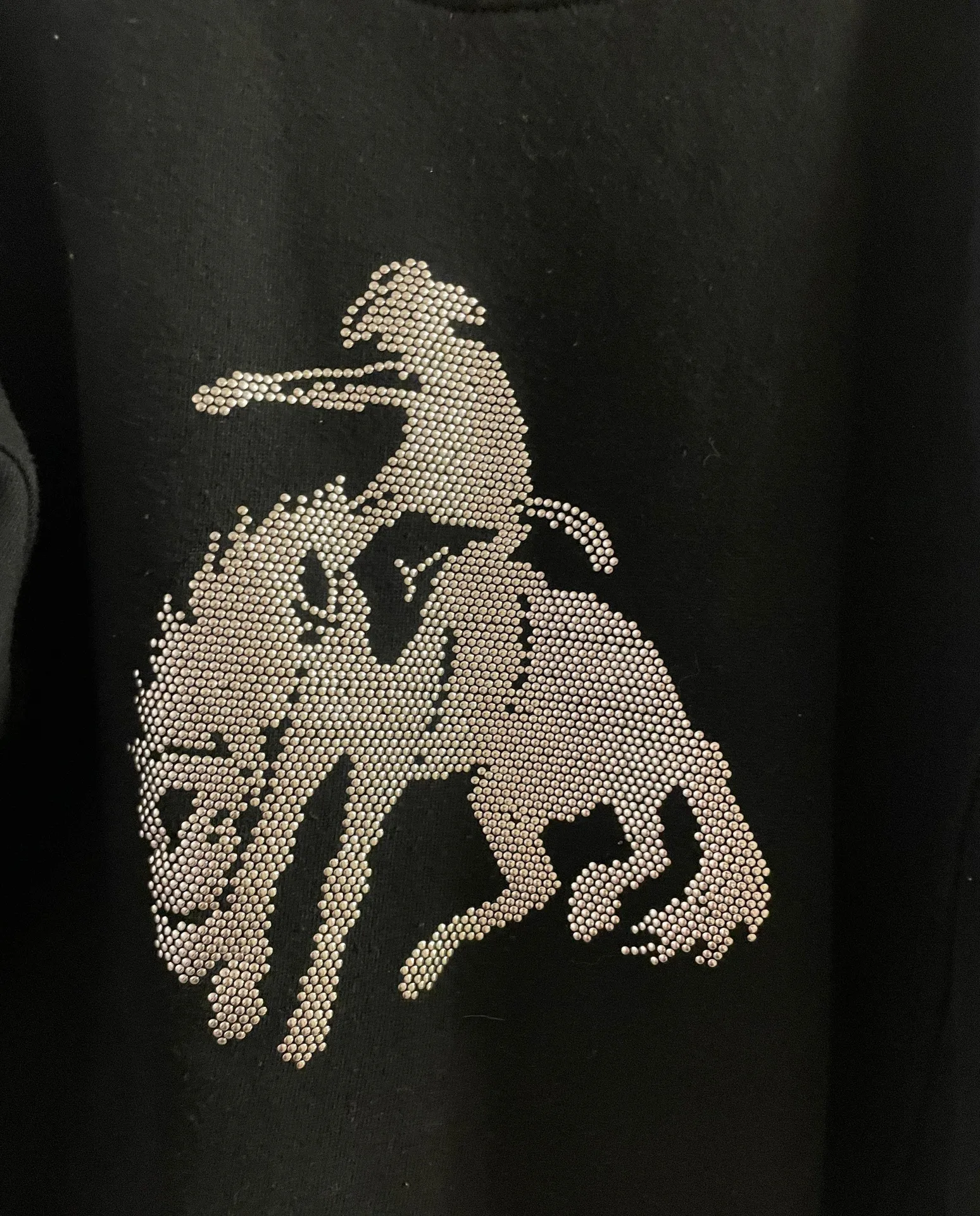 Wrangler NFR jacket - Image 5