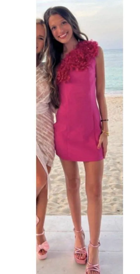 ELLIATT Uma Mini Dress in Pink Size Small - Image 12