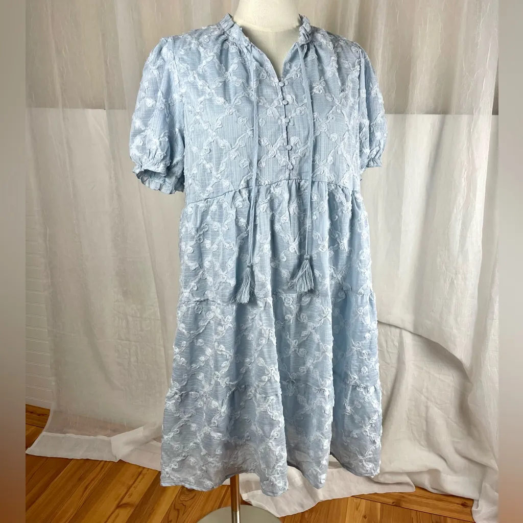 Polagram Tiered Puff Sleeve Mini Dress 2X New Tassel Empire Waist Textured - Image 6