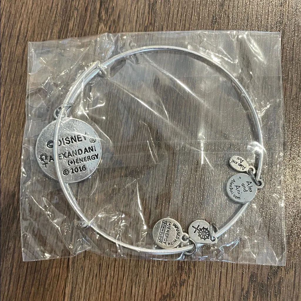 Alex and Ani Walt Disney World Bracelet - Image 4