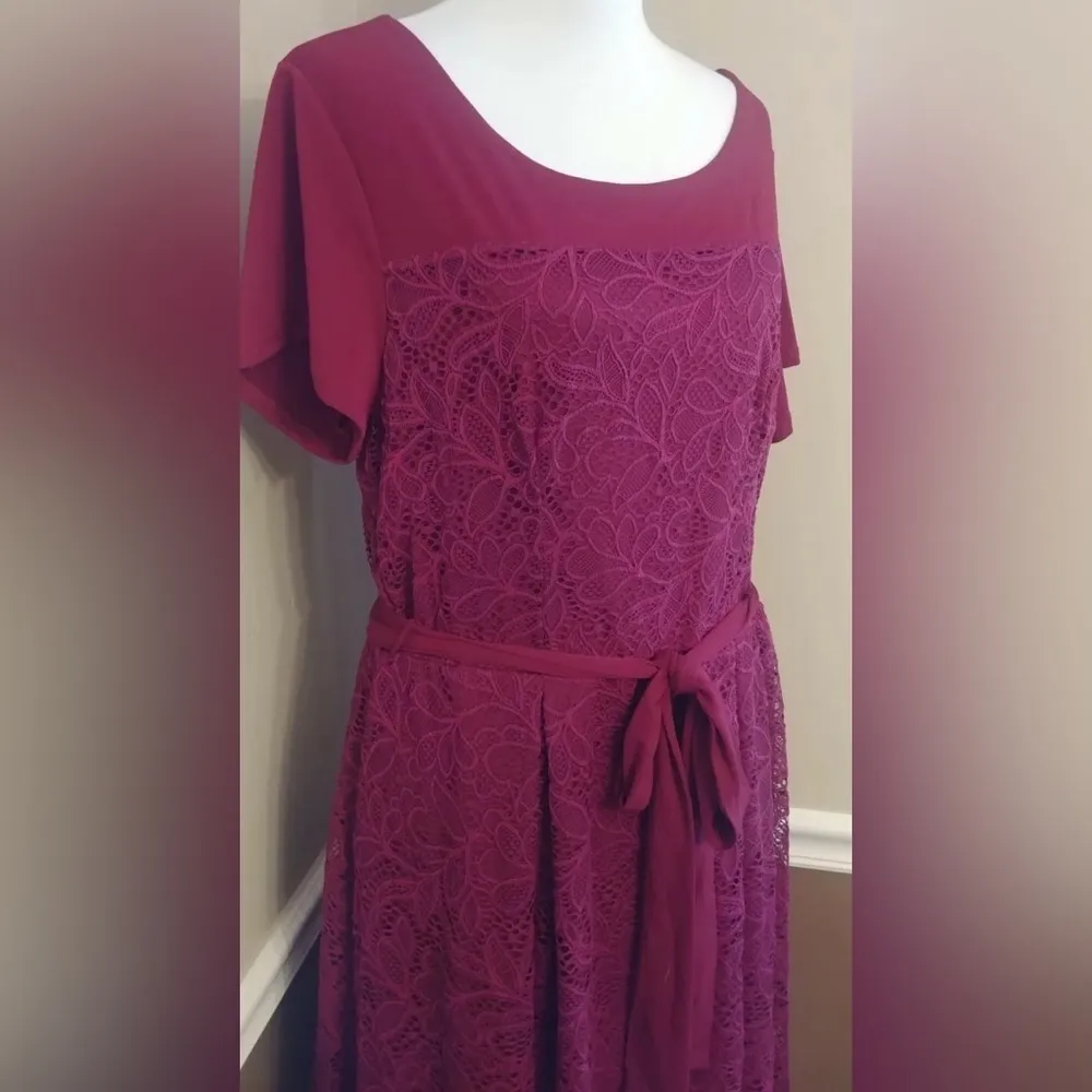 Burgundy Lace Short Sleeves Knee - Image 3