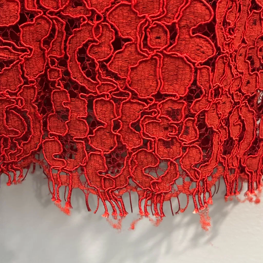 Zara Red Lace Dress Short Sleeve Lined Sheath Sz XS Cocktail Business Valentine - Image 5