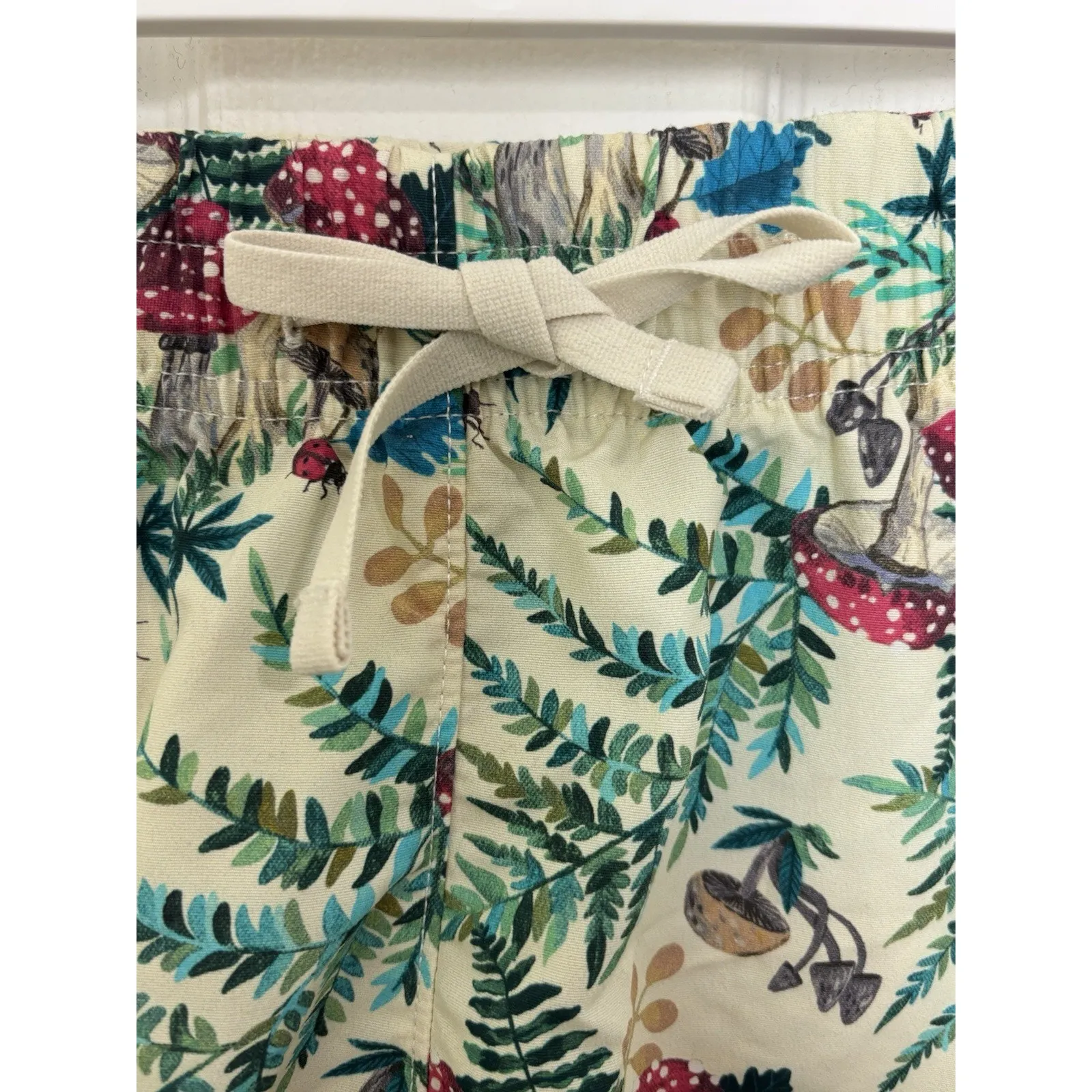 The North Face Three Fish Studios Mushroom Print Shorts Large Rare Gorpcore - Image 4