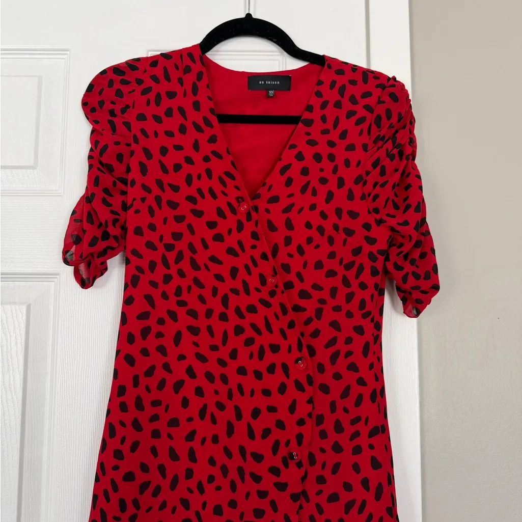 En Saison Tuckernuck Red Spotted Button Maxi Dress Size XS - Image 3