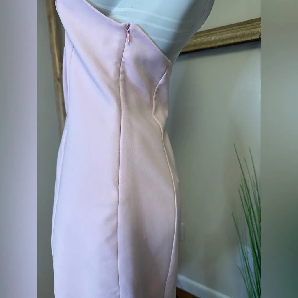 Zara Halter Top Light Pink Backless Dress Zip Side Viral Zip Side XL NWT - Image 6