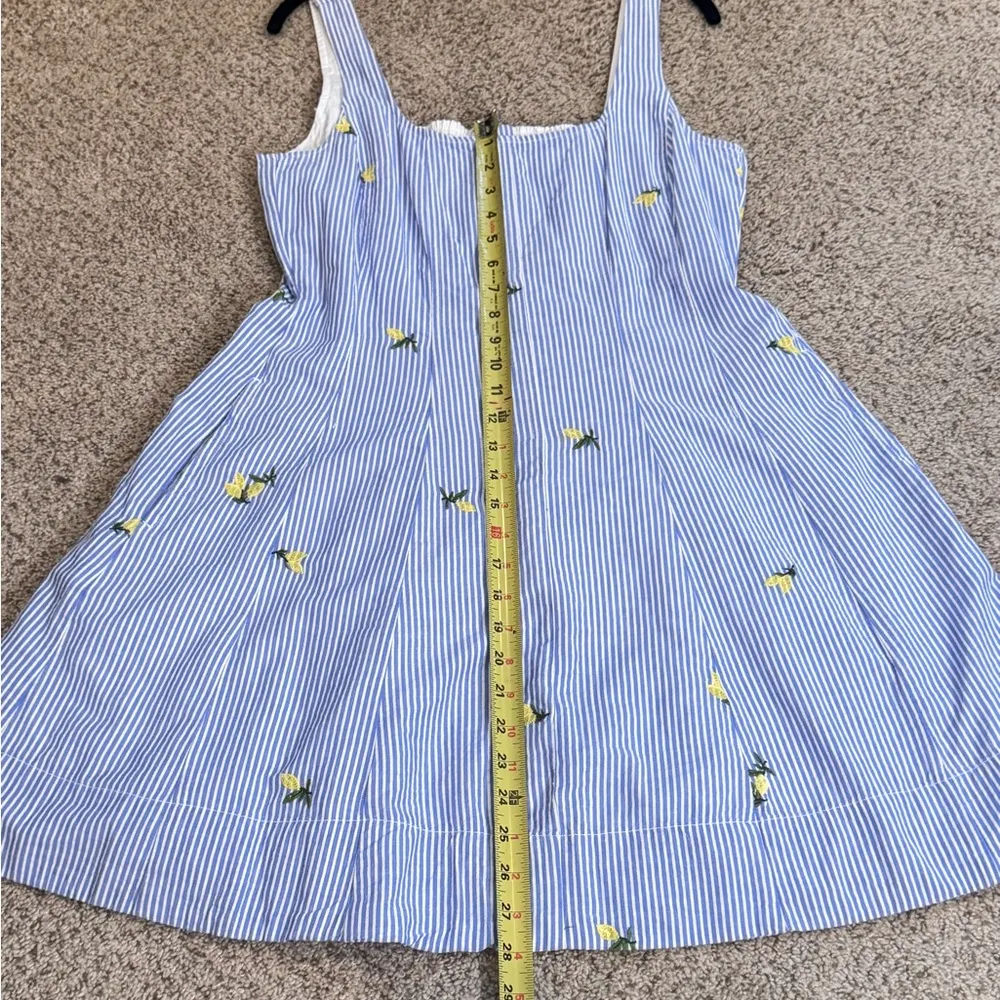 Free Assembly Lemon Embroidered Effortless Blue White Seersucker Fit & Flare BBQ - Image 10