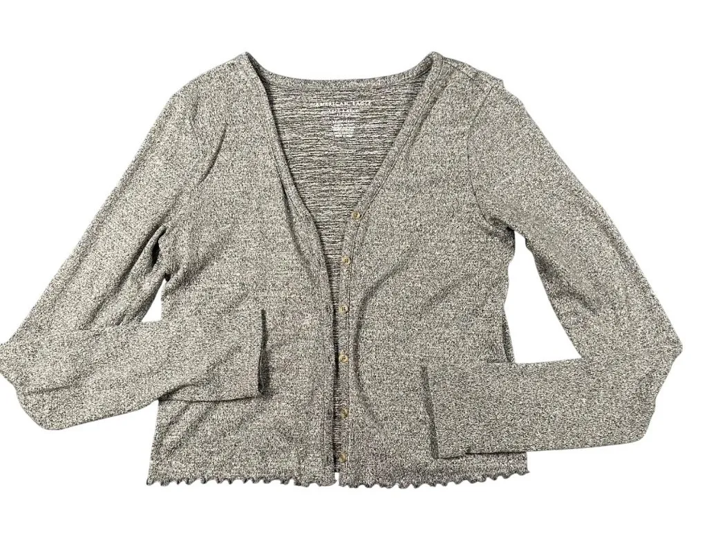 American Eagle XS Soft & Sexy Plus Heather Gray Cropped Long Sleeve Sweater - Image 1