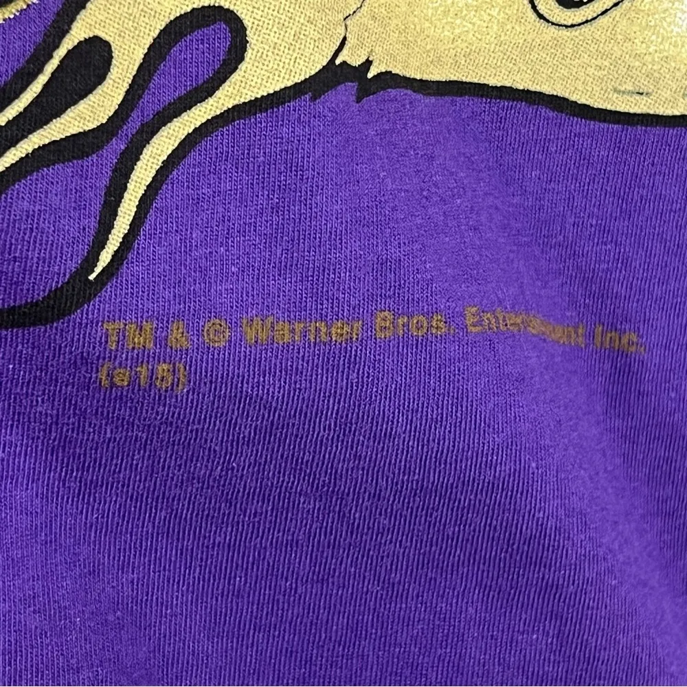 Harley Davidson xl purple tweety bird v neck shirt 2015 Indywest looney tunes - Image 9