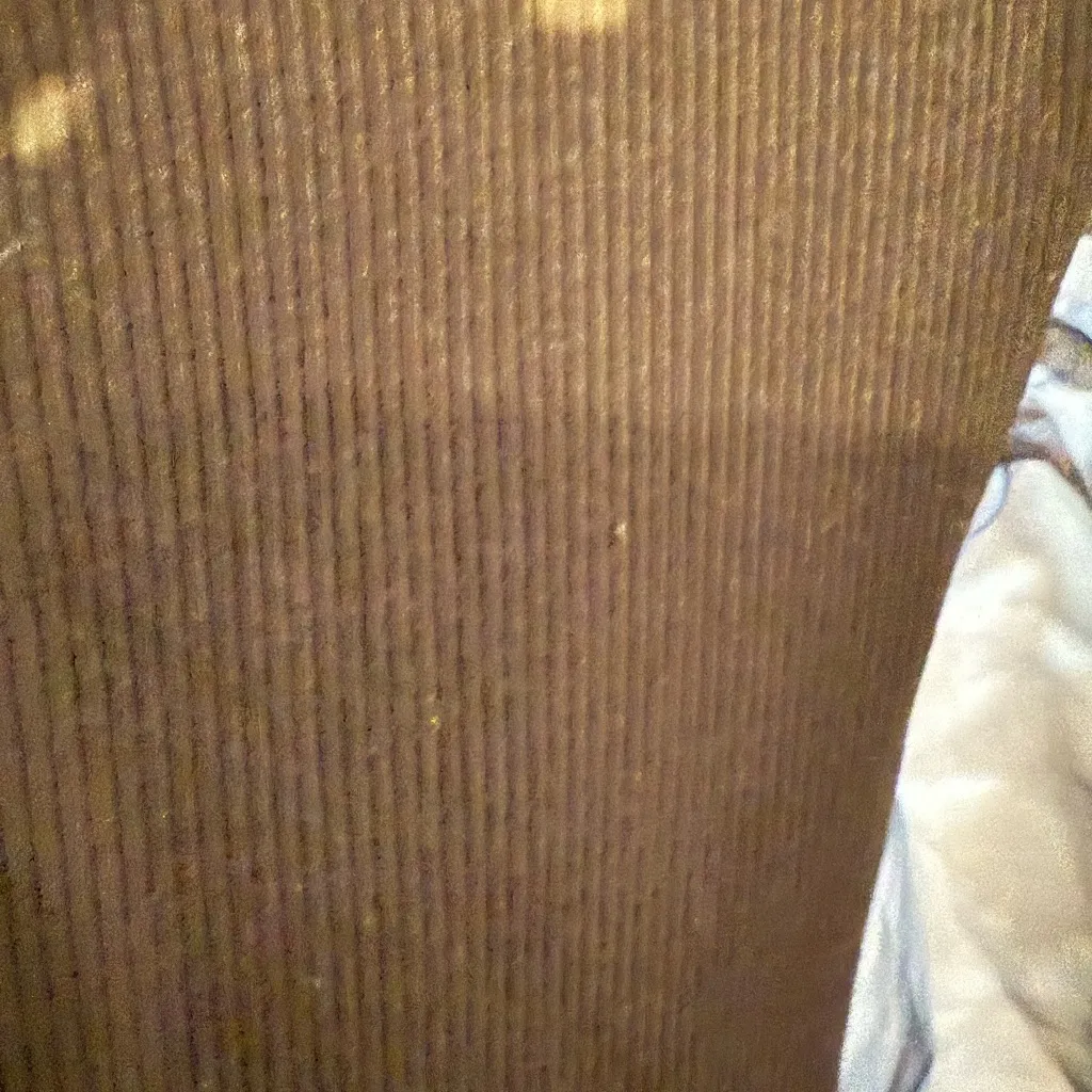 Sanctuary Black Dress with Sheer Sleeves size Medium - Image 4