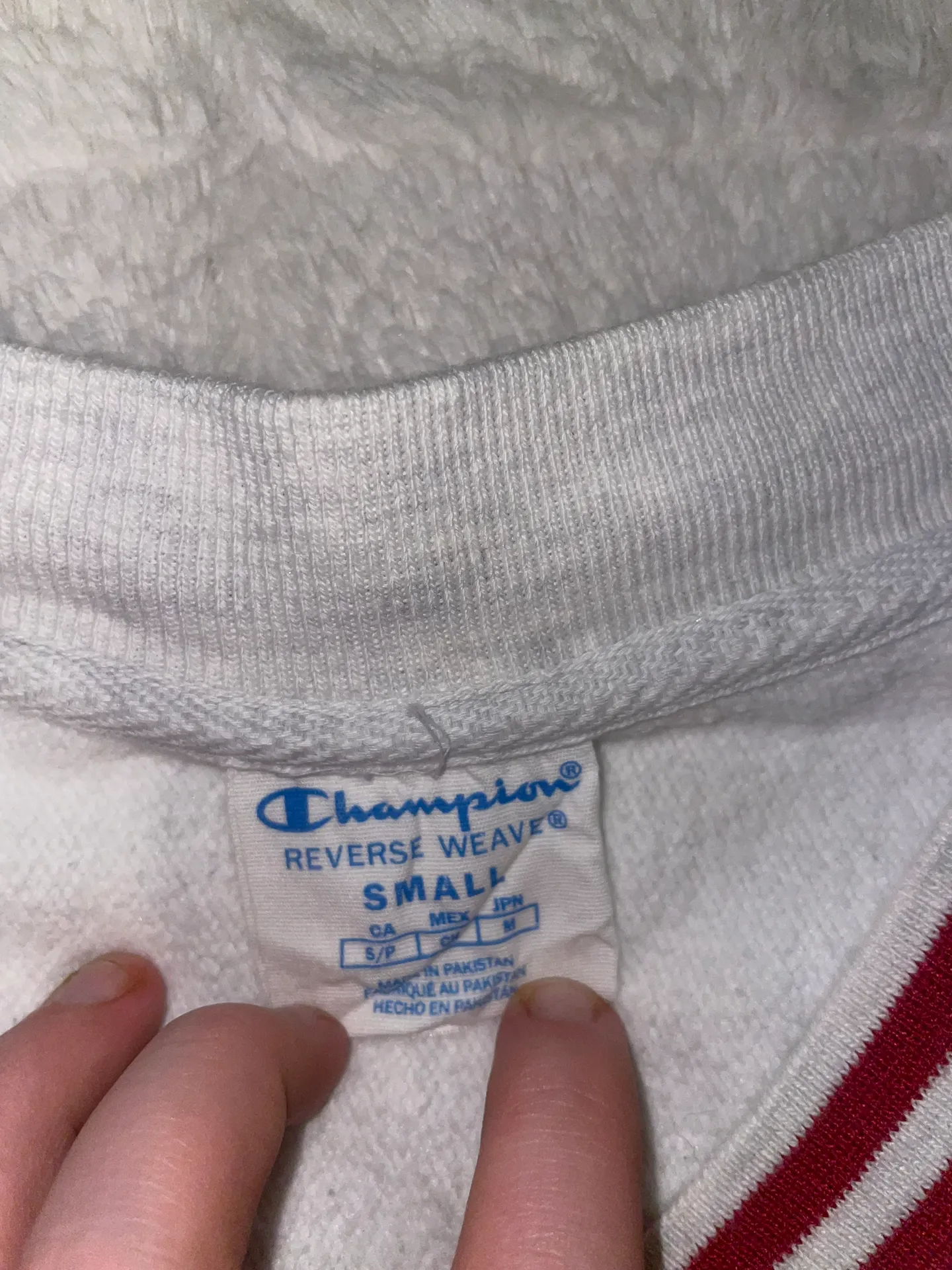 Bradley Cropped Crew - Image 3