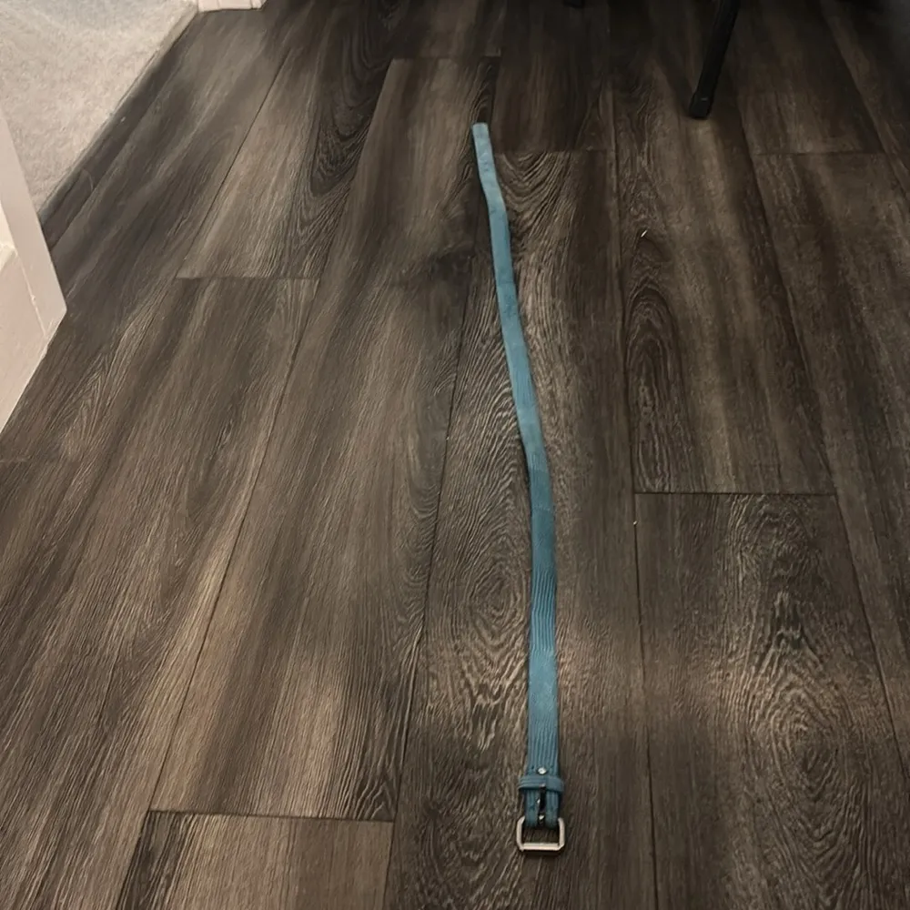 Blue Ann Taylor size Medium snakeskin leather belt - Image 2