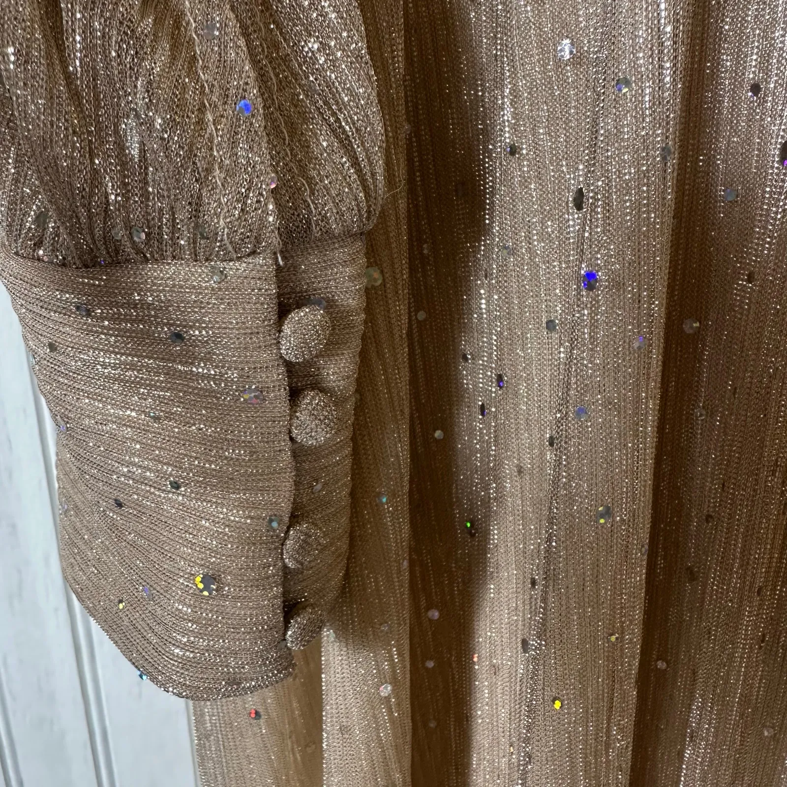 Baltic Born Champagne Sparkle Gown NEW - Image 7