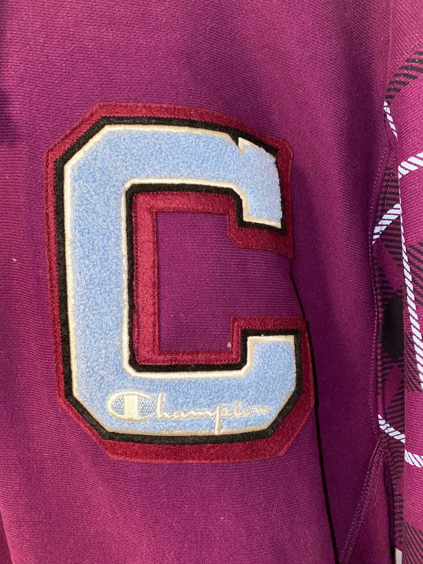 Champion Reverse Weave Hoodie - Image 3