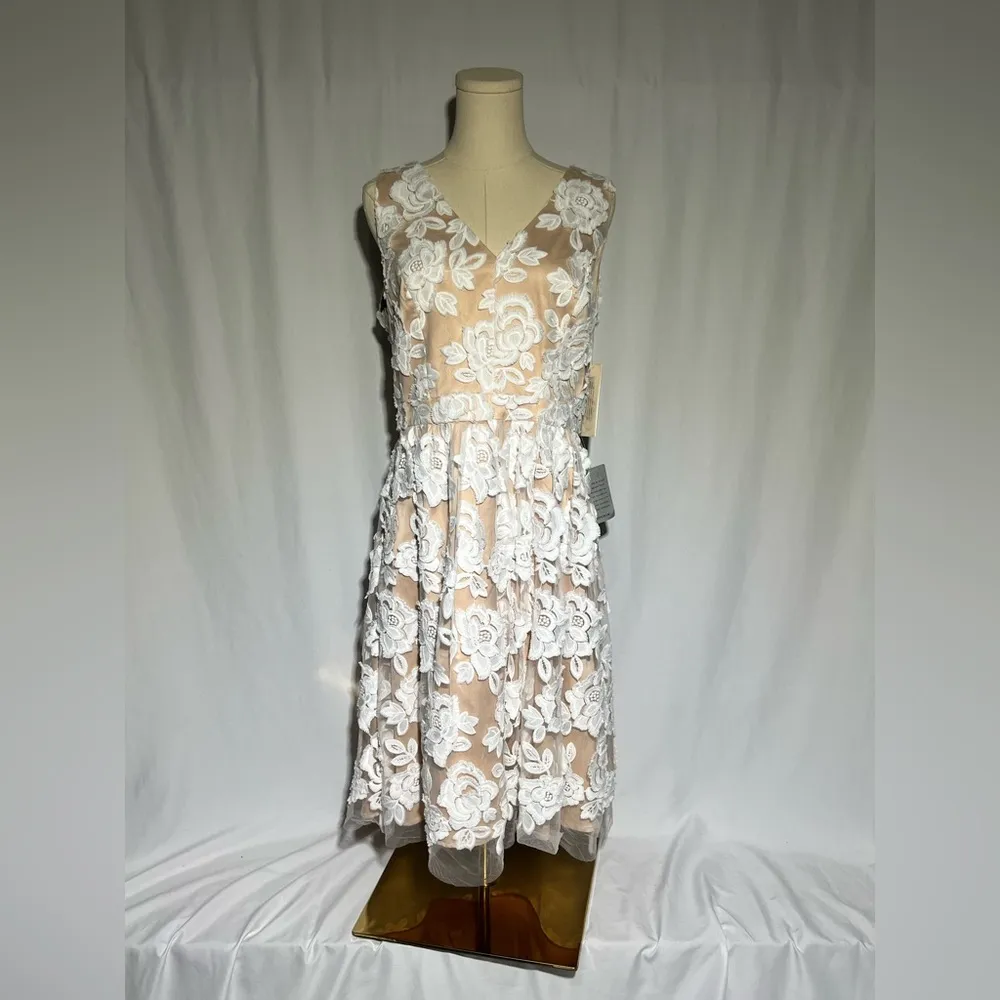 Eliza J Embroidered Mesh Fit & Flare Dress | 12 NWT - Image 4