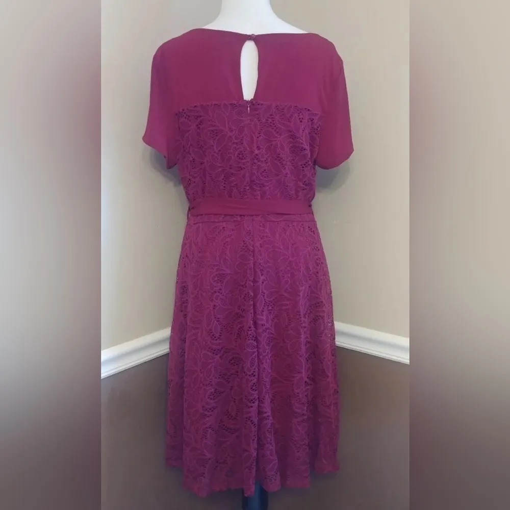 Burgundy Lace Short Sleeves Knee - Image 5
