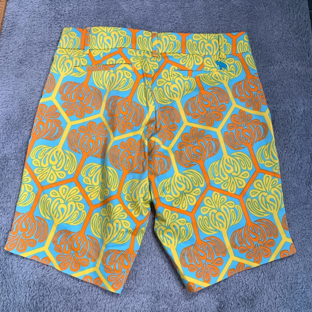 Tracy Negoshian Orange and Blue Patterned Shorts - Image 11