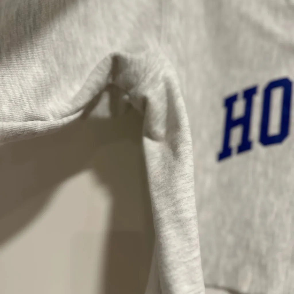 Champion Y2K reverse weave Hofstra University Cropped Vneck preppy Pullover - Image 11