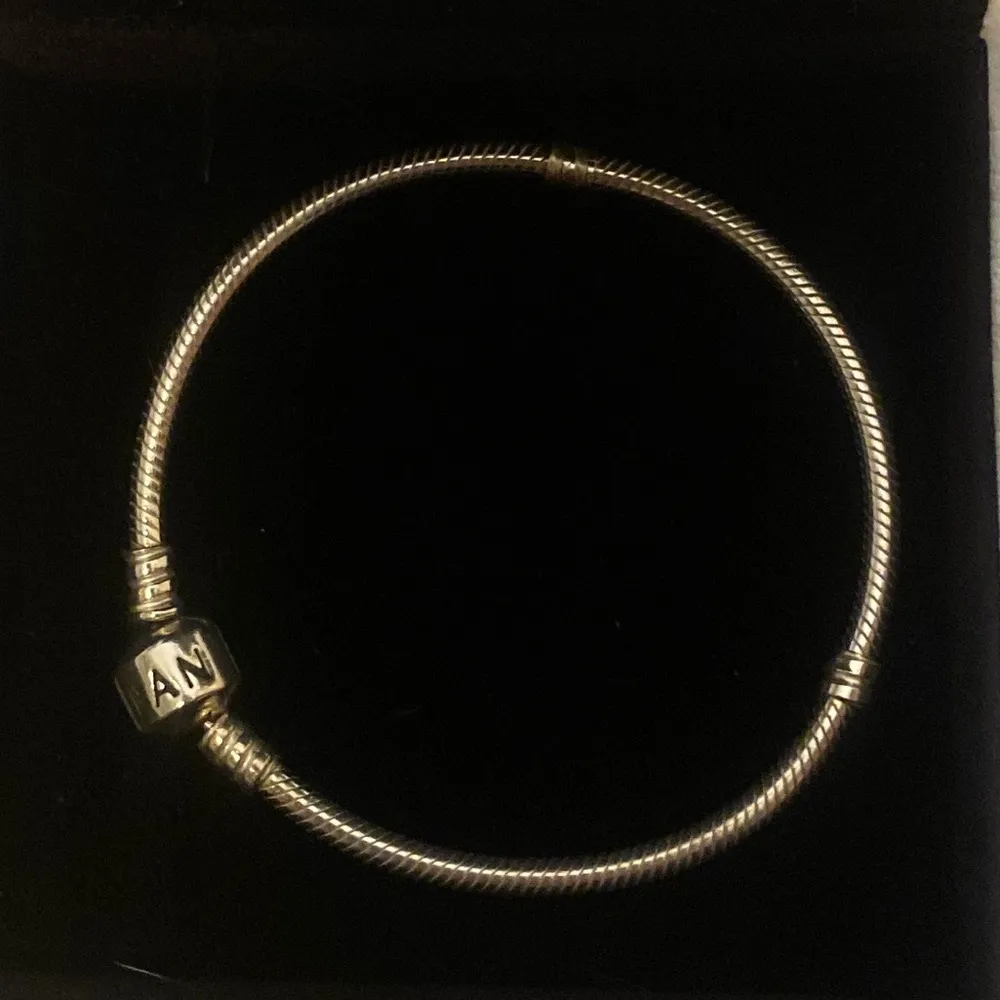 COPY - PANDORA Iconic Moments Snake Chain Charm Bracelet - Image 8