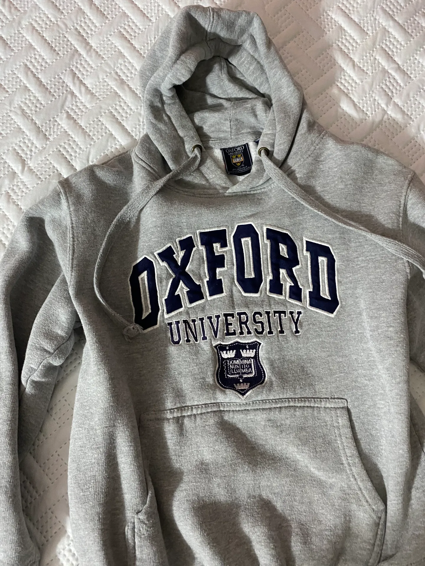 Official Oxford Hoodie Gray Size XS - Image 2