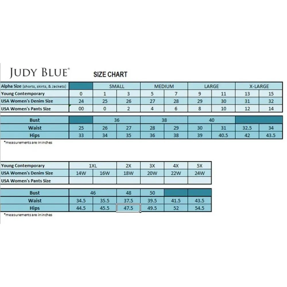 Judy Blue Mid- Rise Buffalo Plaid Patch Skinny Jeans - Size 13/31 - Image 4