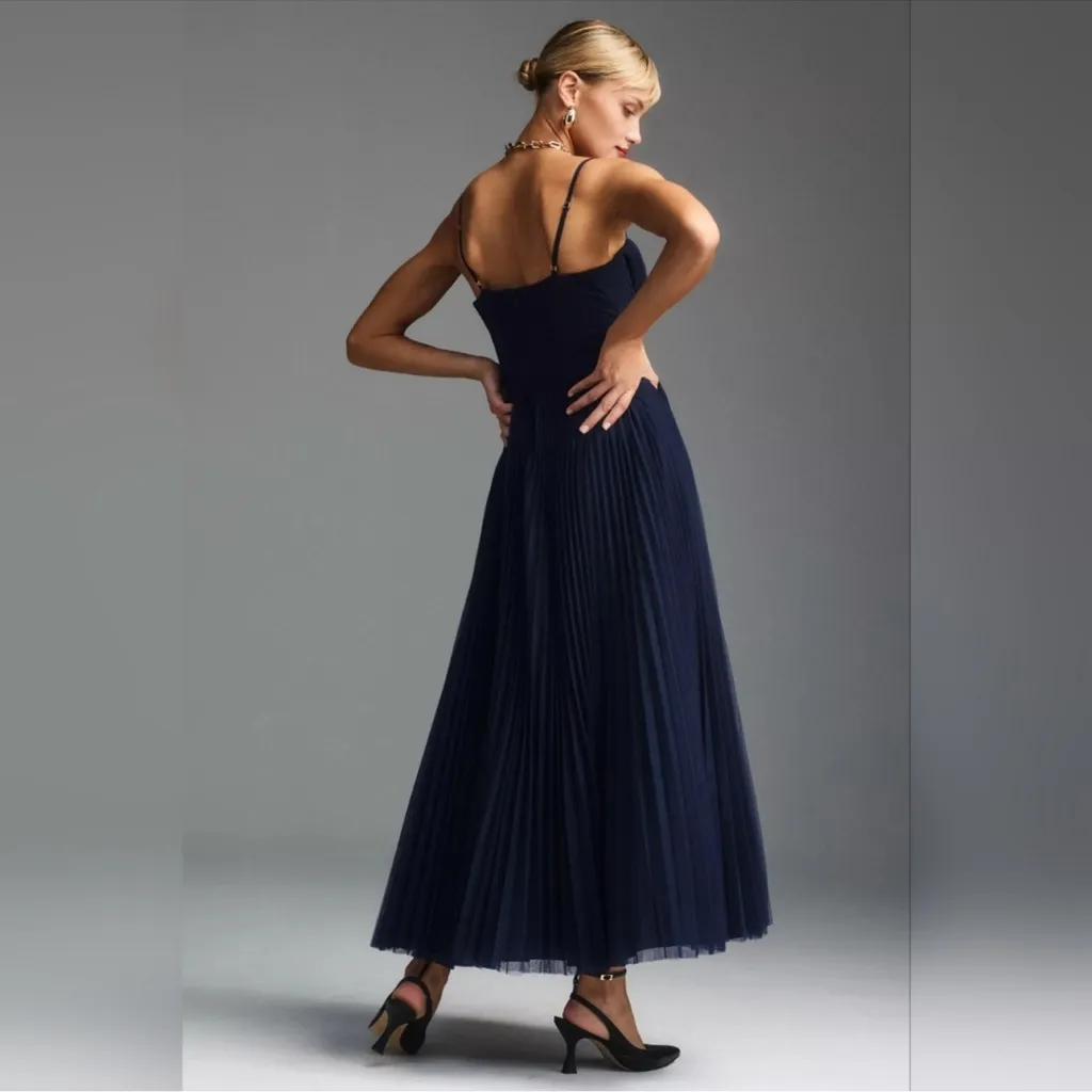 NEW Anthropologie Hutch Amara Bustier Pleated Tulle Fit & Flare Midi Dress Sz 12 - Image 3