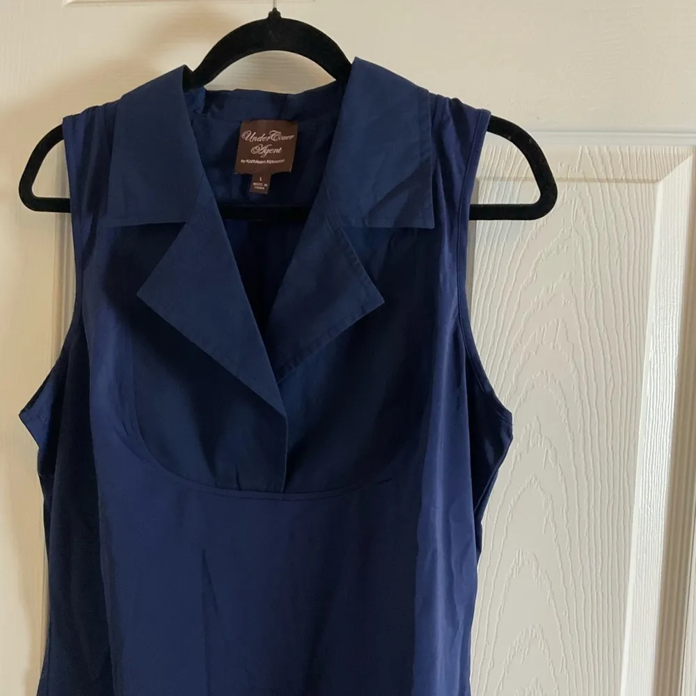 Kathleen Kirkwood Dictrac - Image 2