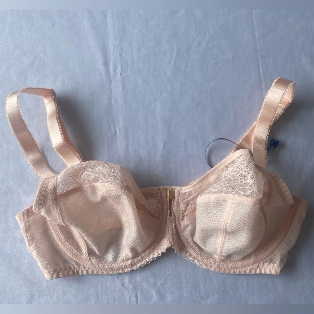 Fantasie Ann - Image 4