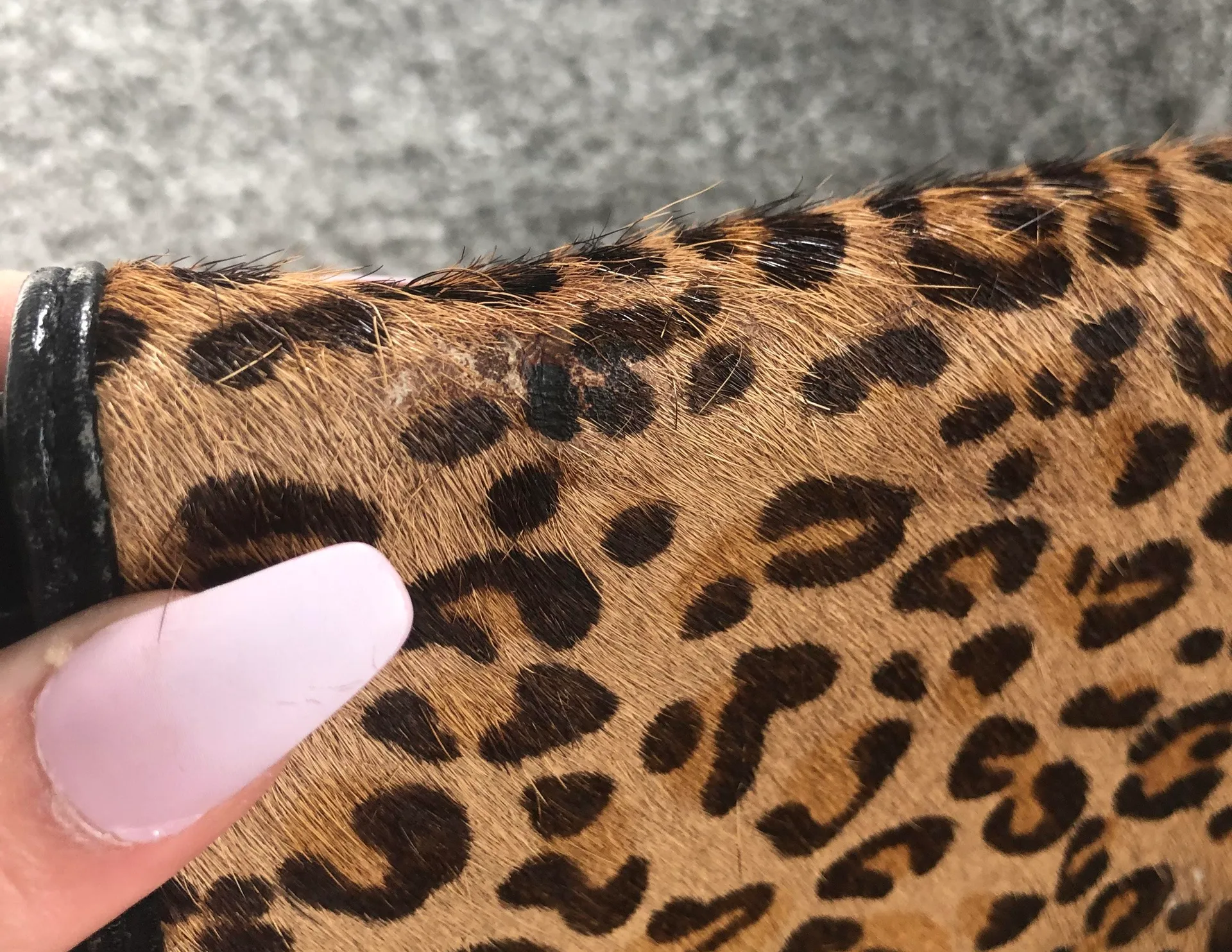 Fossil Leopard Print Calf Hair Wristlet - Image 8