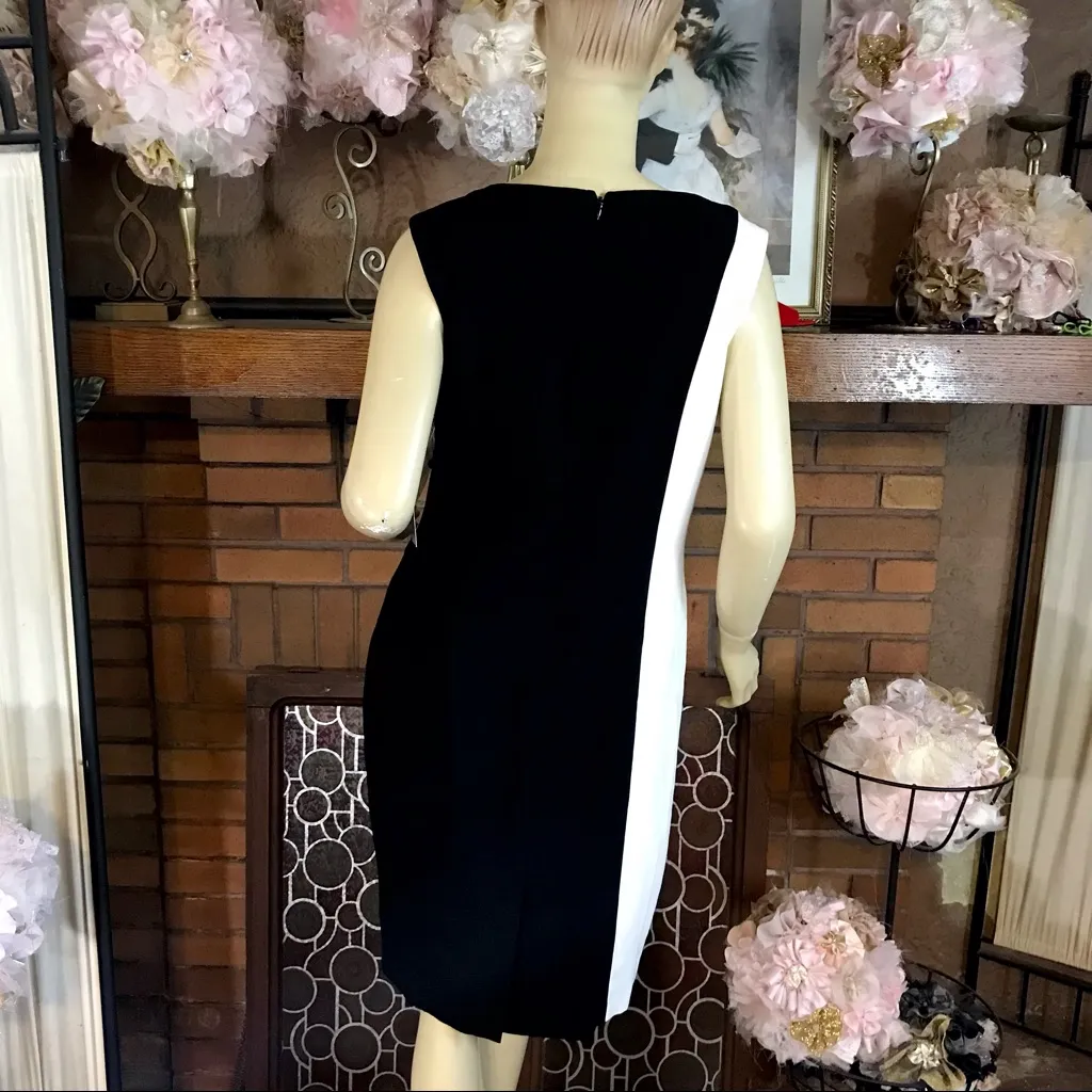 TAHARI ARTHUR S. LEVINE BLACK & IVORY BEADED COLOR CONTRAST SHIFT DRESS NWT (10) - Image 3