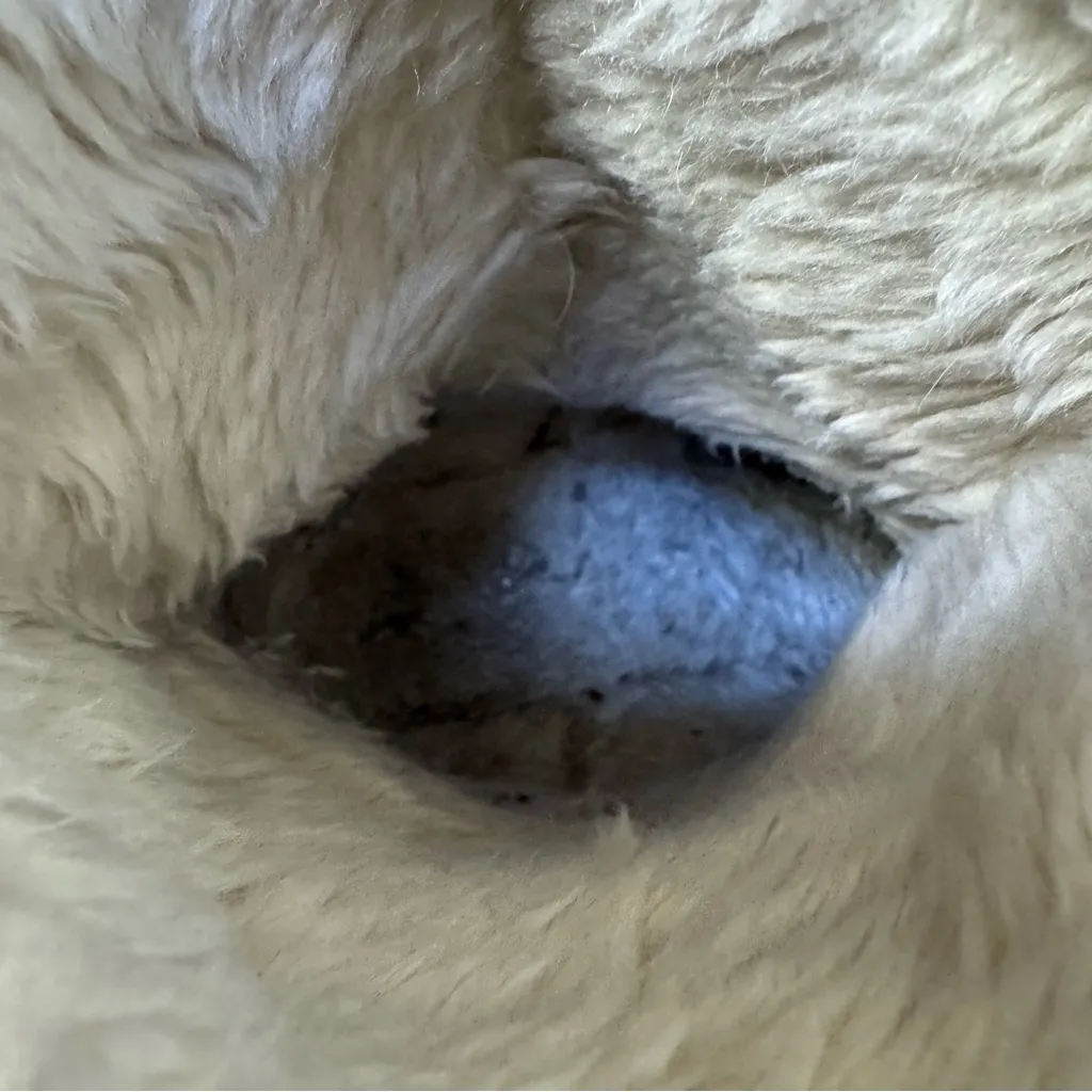 Xhilaration Tan Suede Winter Boots Size 8  Faux Fur Cozy Cabincore Y2K Comfy - Image 7