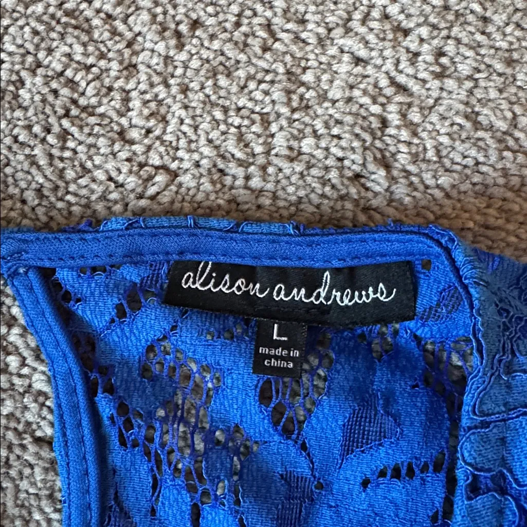 Alison Andrews Blue Lace Dress SIZE L - Image 3