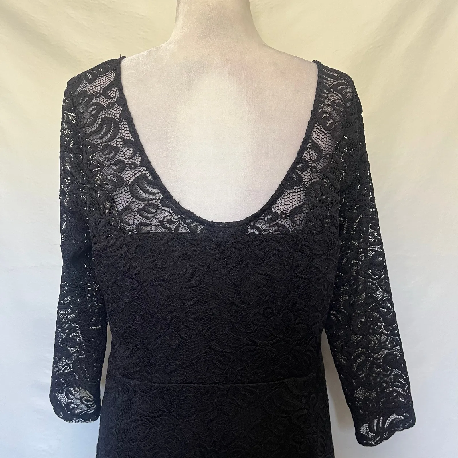Bold Elements Lace Sheath Dress Sz XL Whimsigoth Witchy Gothic Formal  Romantic - Image 9