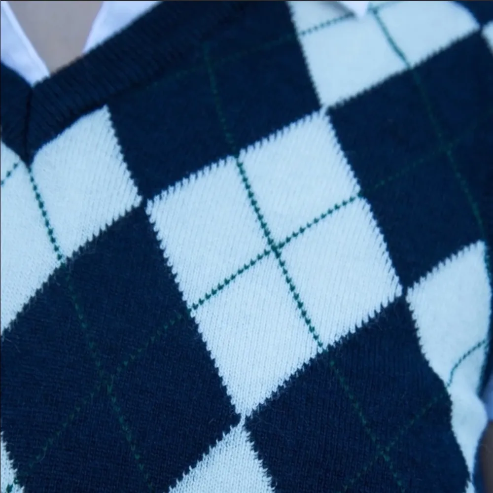 brandy melville riley sweater vest - Image 4