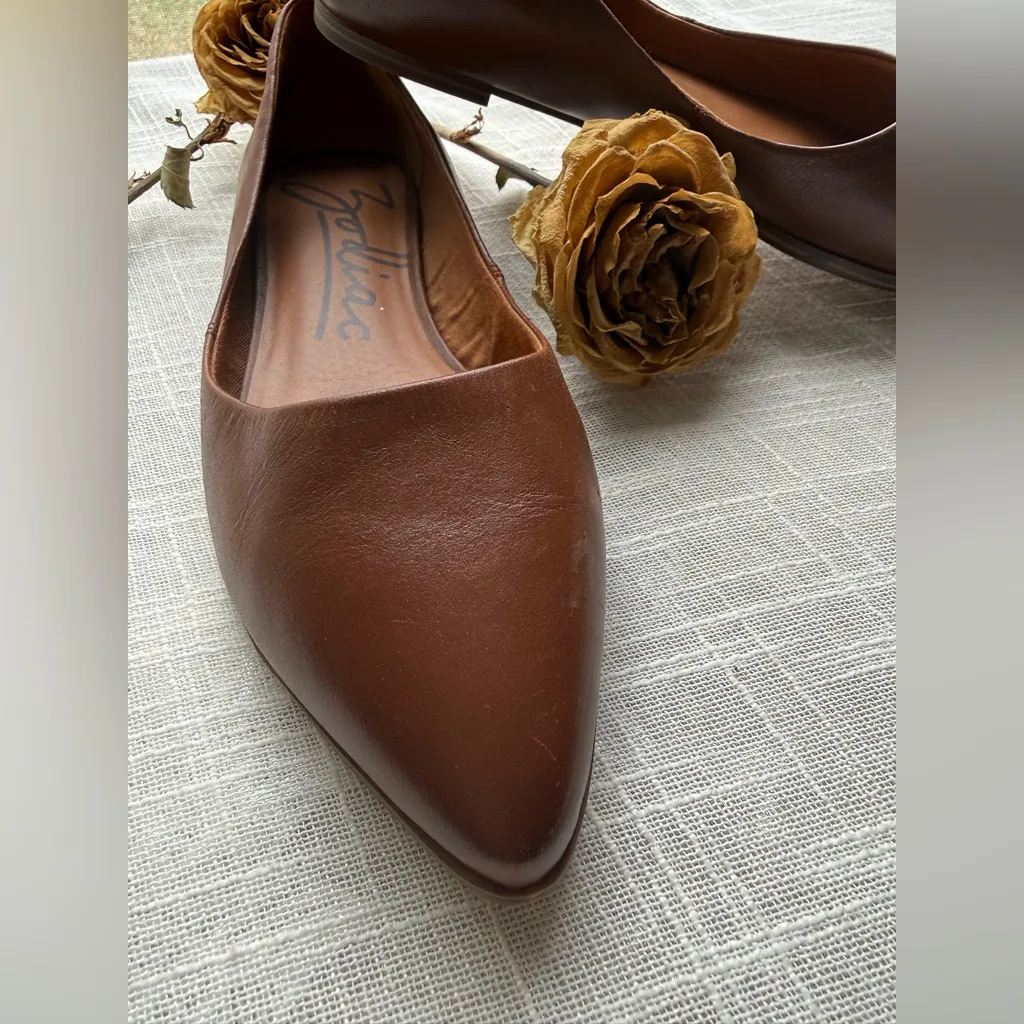 Zodiac Hill Snake Embossed Pointed Toe Flat - Image 2