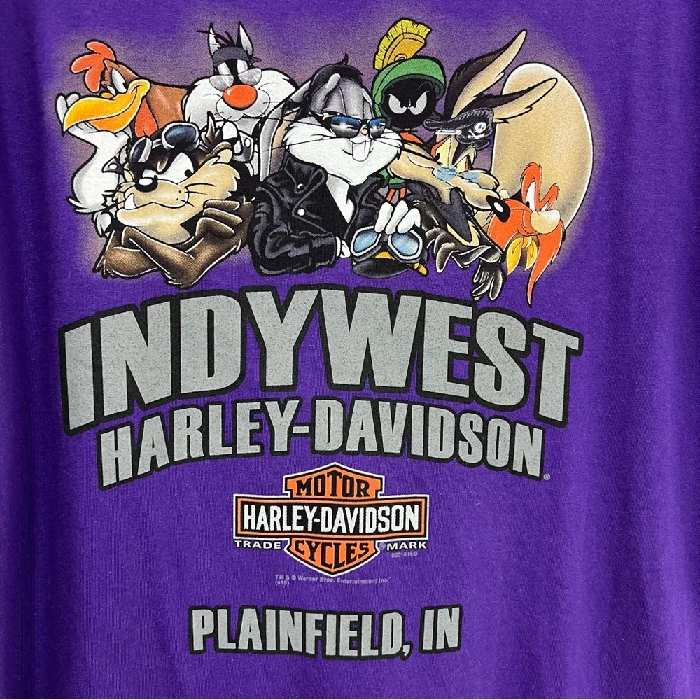 Harley Davidson xl purple tweety bird v neck shirt 2015 Indywest looney tunes - Image 10