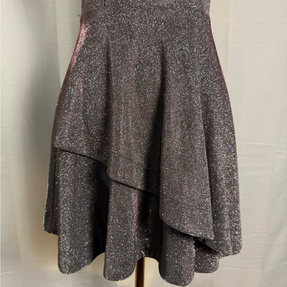 Xtraordinary Silver and Black Fit and Flare Mini Dress - Image 3
