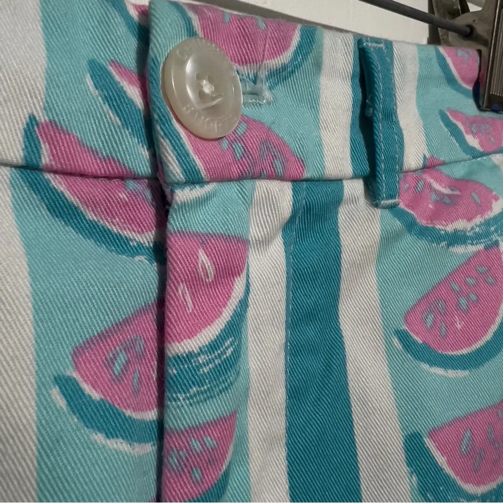 Chubbies Made In USA Watermelon Print Women Twill Shorts Medium M Striped :Box U - Image 3