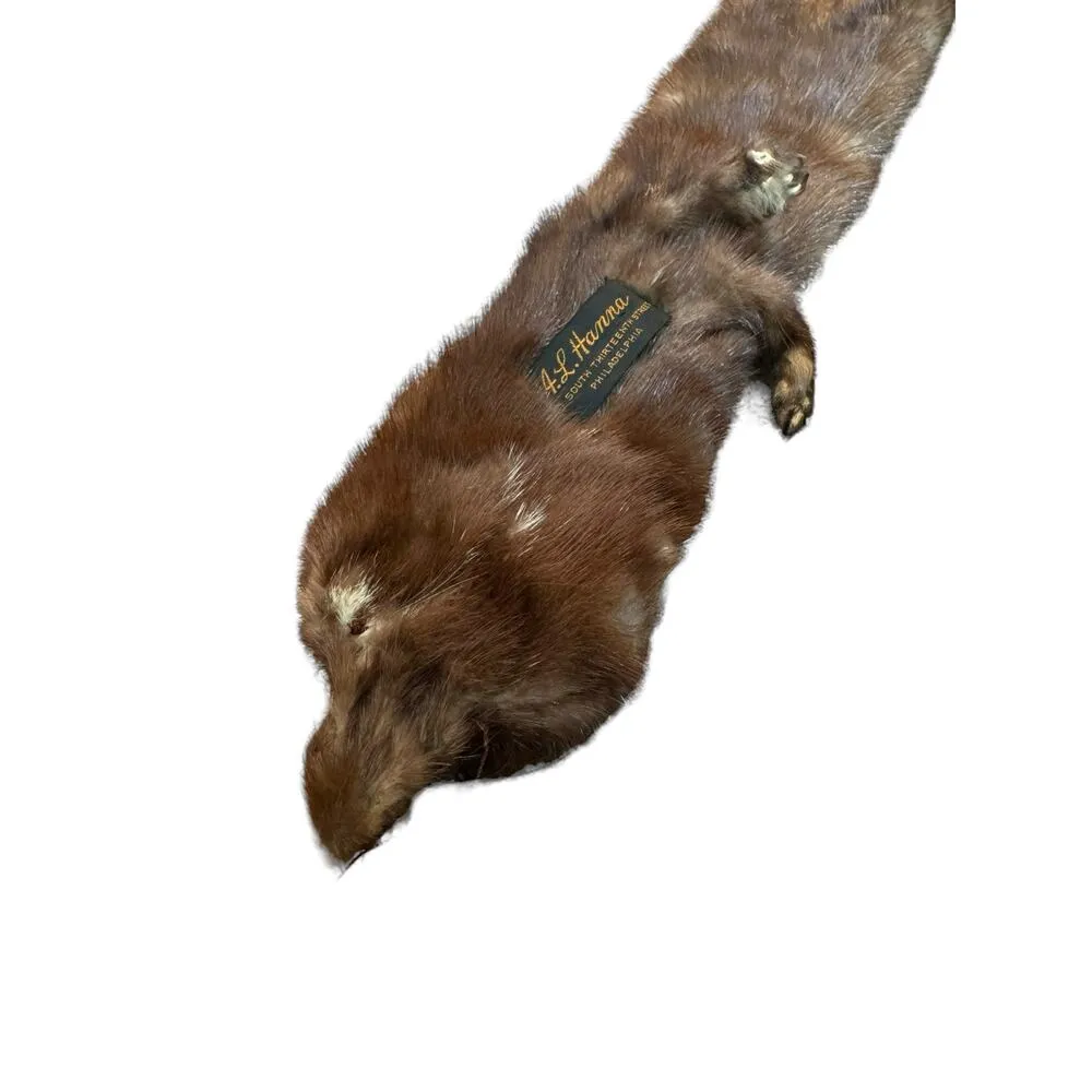 TANNED MINK PELT 29” Scarf Drape Stole Wrap Collar Natural Leather Taxidermy Brown - Image 9