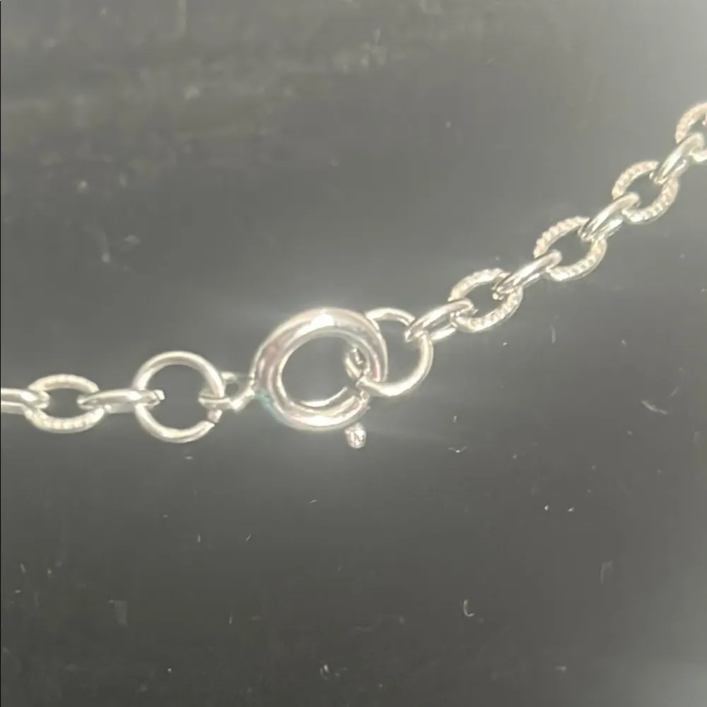 Southwestern Turquoise Dyed Howlite Silver Tone Tassel Filigree Pendant Necklace - Image 4