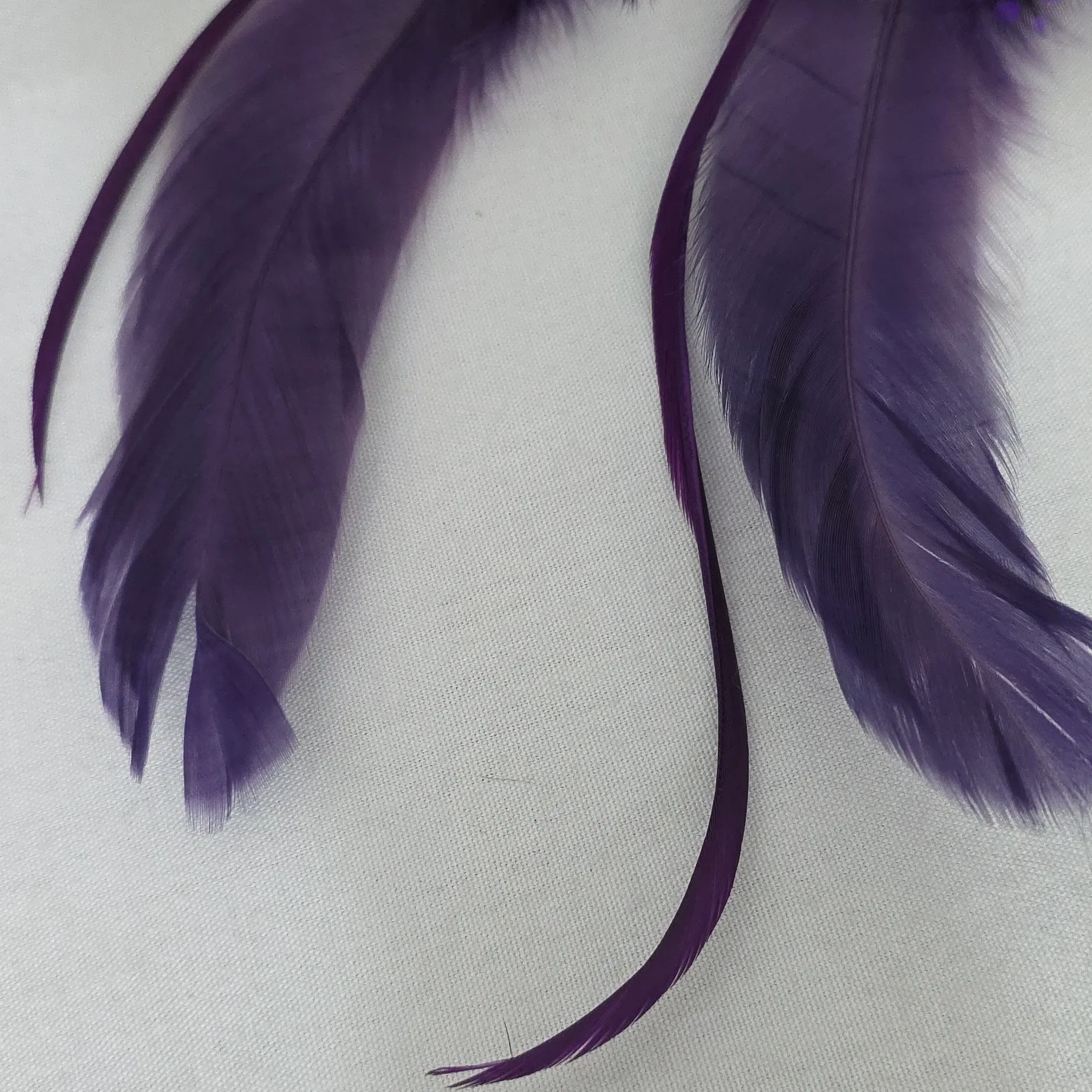 Boho Long Purple Real Feather Earrings - Image 4