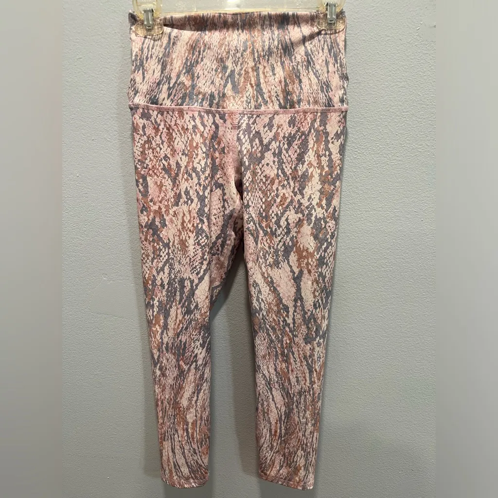 Evolution And Creation Two Piece Set - Image 3