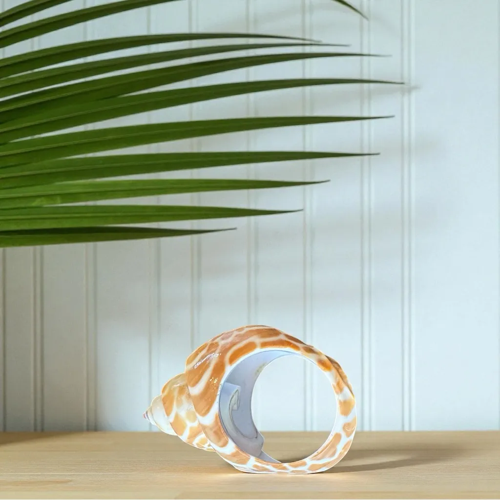 Natural Polished Seashell Statement Ring – Bought in Hawaii Tan - Image 5