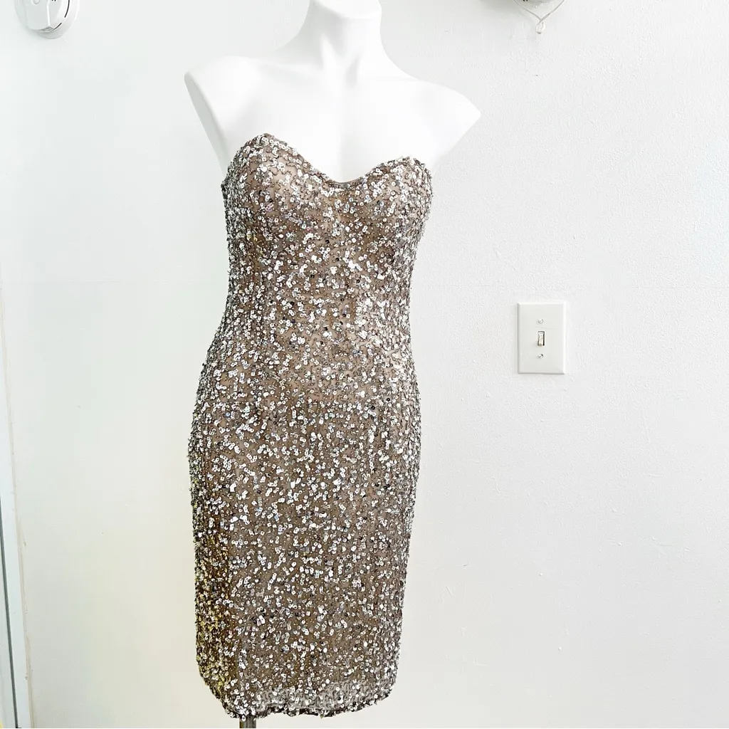Scala Dress SMALL Silver Nude Strapless Sweetheart Silk Embellished Cocktail NEW - Image 5
