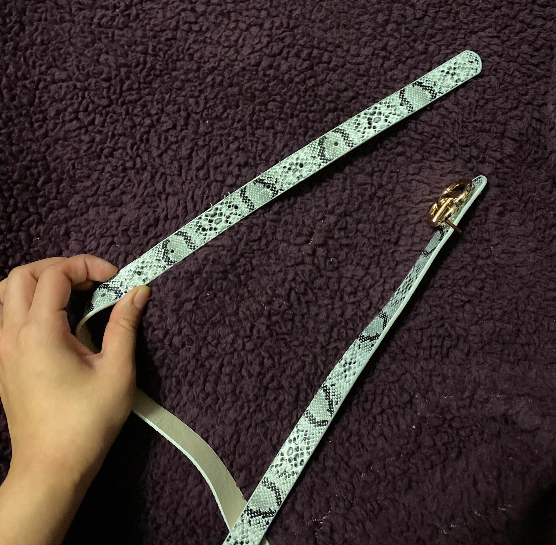 Snakeskin Belt Gray - Image 2