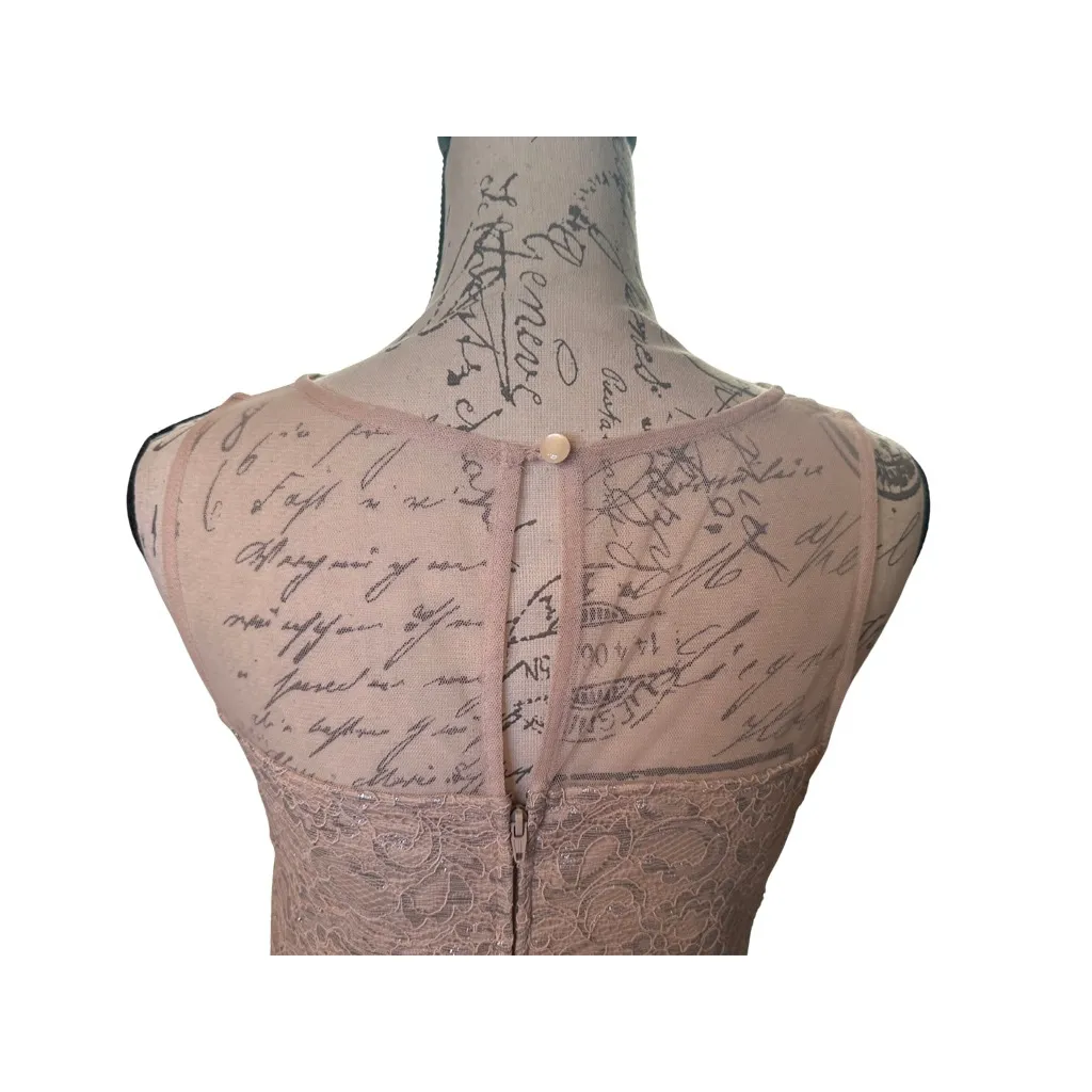 City Studio Size 9 Champagne and Silver Homecoming Dress Lace Tulle Gemstones Pink - Image 10