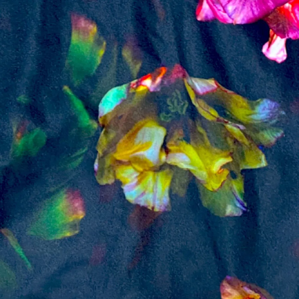 Alexia Admor Enchanted Garden Scuba
Sheath Dress XS - Image 7