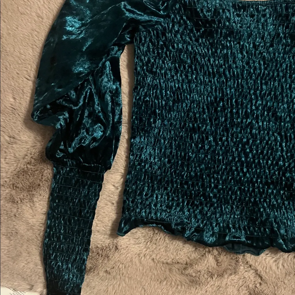 Miami Teal Velvet Puff Sleeve Blouse - Image 9