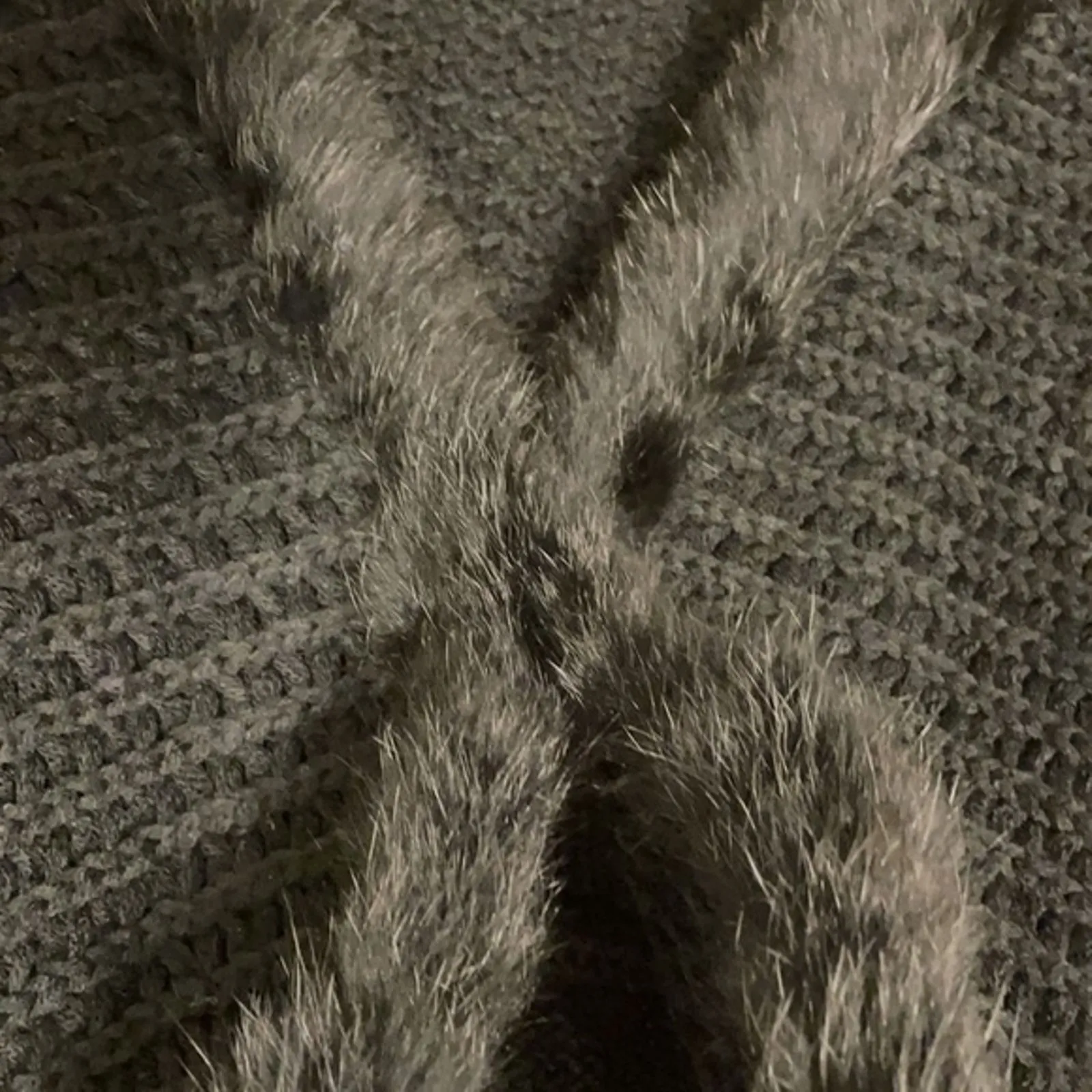 Love Token Knit Black Sweater Vest Shrug Trimmed in Rabbit Fur Womens Size XS - Image 3